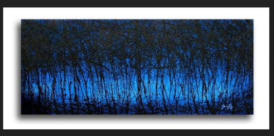 Midnight Forest